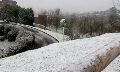 basauri_nevada_basozelai_muro_febrero_2012