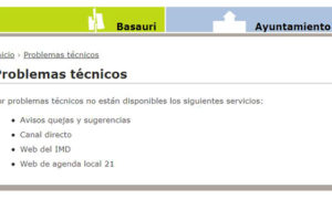 basauri_web_problemas_informaticos_2012
