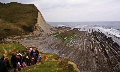 basauri_sagarrak_zumaia_flysch_2013