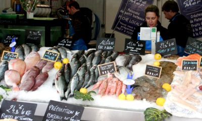 etxebarri_behargintza_2014_pescaderia_curso