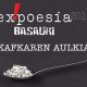 basauri_expoesia_kafkaren_aulkia_2014_2