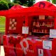 basauri_bibliopiscina_2014