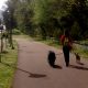 basauri_convivencia_animales