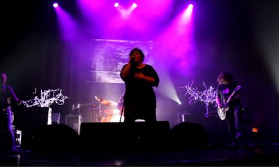 basauri_maz_basauri_2014_zea_mays_1