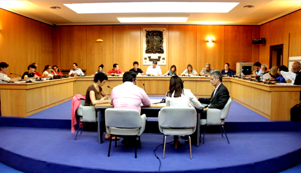 basauri_pleno_2014_junio_general