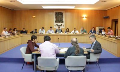 basauri_pleno_2014_marzo_general