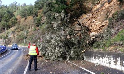 arrigorriaga_carretera_bi_625_2013_desprendiemiento_tierra
