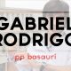 basauri gabriel rodrigo 2015 elecciones titulo