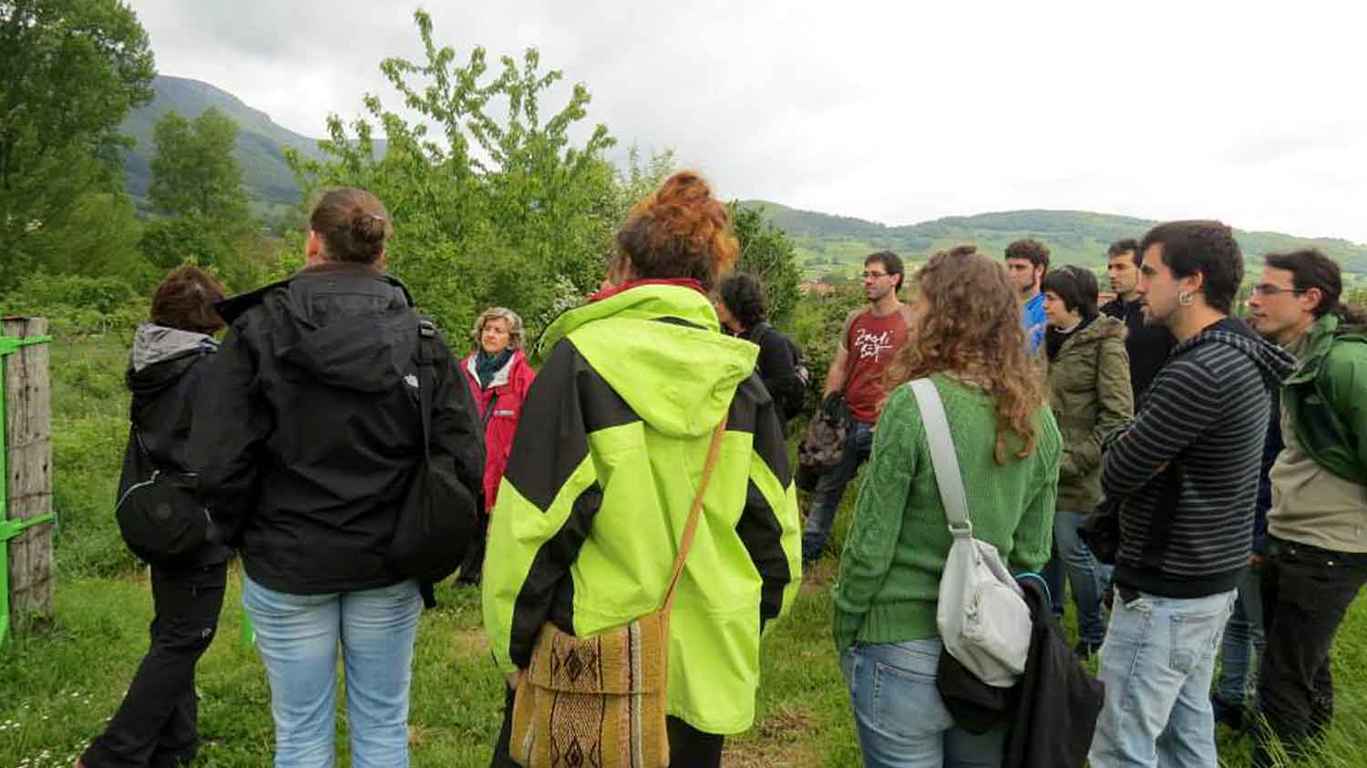 basauri sagarrak 2015 ekoizpen urduna