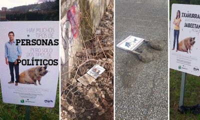 basauri perros 2016 ordenanza problemas civismo