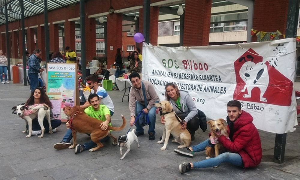 protectora APA SOS Bilbao organiza rastrillo solidario navideño en | Bidebieta