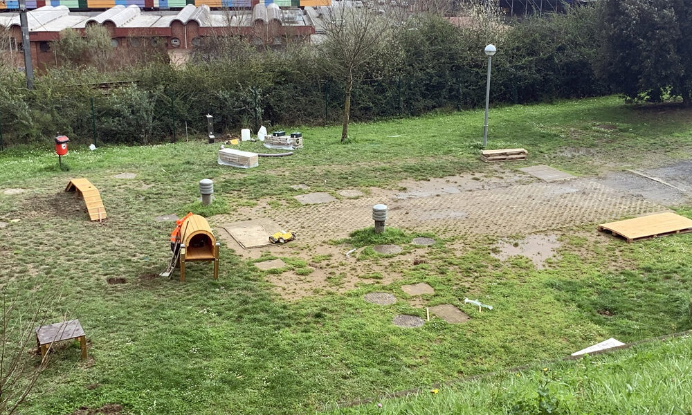 juegos caninos gaztañabaltza
